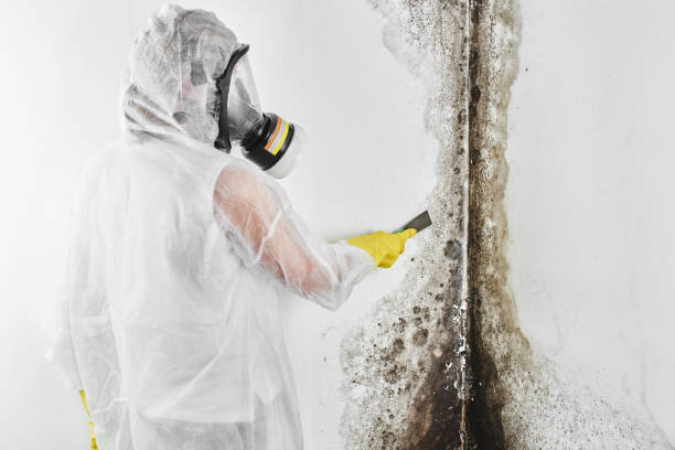 Best Mold Testing  in Pacific Grove, CA