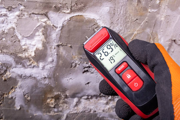 Reliable Pacific Grove, CA Mold Removal Solutions