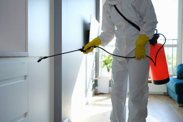 Best Mold Removal and Inspection  in Pacific Grove, CA