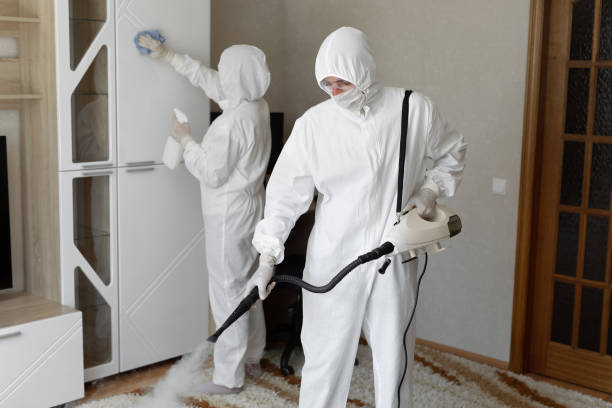 Best Mold Remediation Services  in Pacific Grove, CA