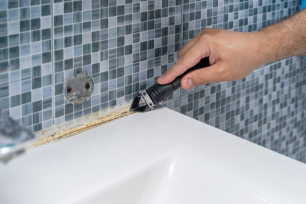 Best Mold Damage Repair  in Pacific Grove, CA