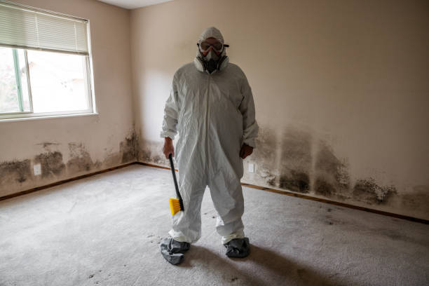 Mold Removal and Inspection in Pacific Grove, CA