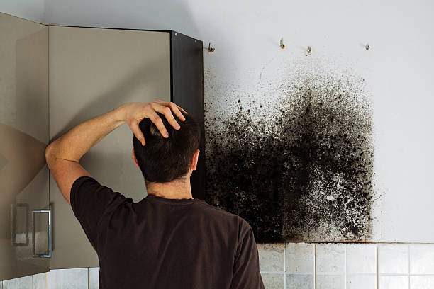 Best Residential Mold Removal  in Pacific Grove, CA