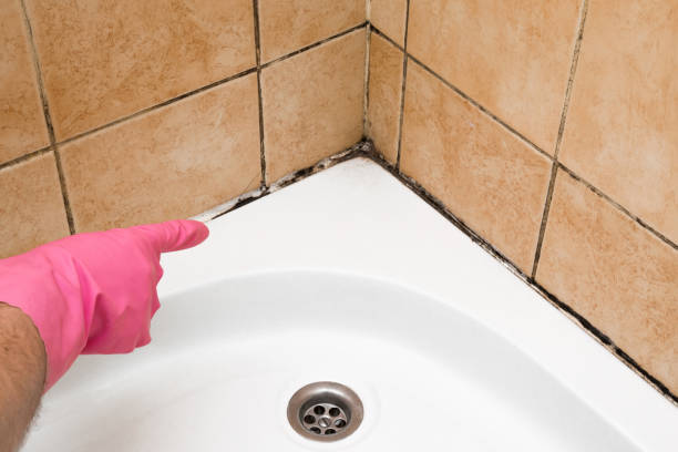 Best Mold Testing  in Pacific Grove, CA
